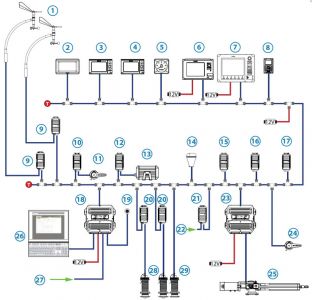 bg-network